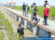 Pasca Sarjana UNDIP bersama DLH Jateng Teliti Varietas Mangrove di Rembang