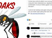 Hoaks: Nyamuk Menjadi Jalur Penularan Covid-19