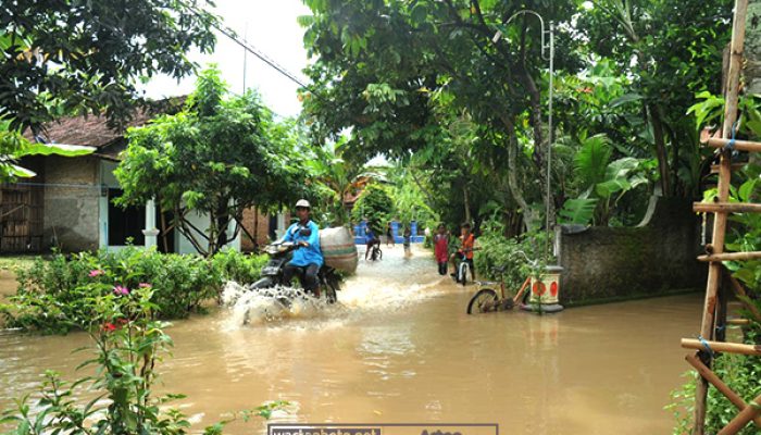 Curah Hujan Tinggi, Ratusan Rumah Warga Dukuh Koroyo Panggungroyom Terendam Banjir