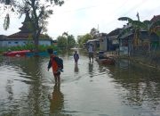 Banjir Sudah 3 Bulan, Puluhan Warga Kasiyan Sukolilo Bertahan di Pengungsian