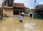 Banjir Semakin Meninggi, Ratusan Warga Doropayung Juwana Pilih Mengungsi