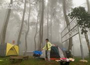 Sensasi Camping di Hutan Pinus yang Sejuk, Cocok untuk Berakhir Pekan, Lokasinya di Sini